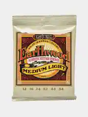 Струны для акустической гитары Ernie Ball Earthwood 2003