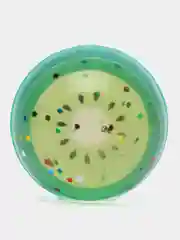 Попрыгунчик