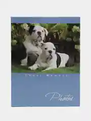 Голубой фотоальбом "Животные", 100 фото, 10х15, твёрдая обложка