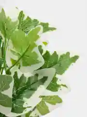 Лесной зеленый искусственные цветы. Куст зелени. Искусственные растения для декора