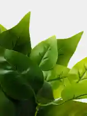 Тёмно-зелёный искусственные цветы. Куст зелени. Искусственные растения для декора