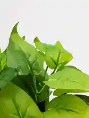 Зеленый искусственные цветы. Куст зелени. Искусственные растения для декора