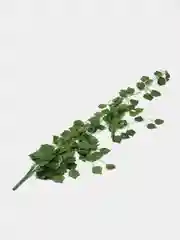 Лесной зеленый настенные зелёные растения, искусственные, кустовые