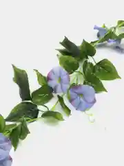 Синий искусственные цветы: лиана, лоза цветущая, петуния