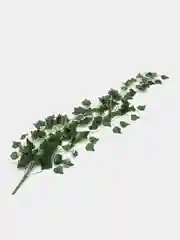 Лайм настенные зелёные растения, искусственные, кустовые