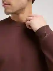 Шоколадный свитшот мужской BEJAMPER, базовый, без начеса