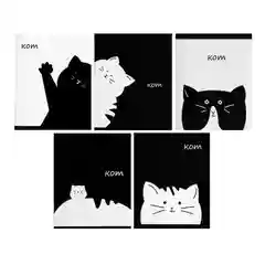 Общая тетрадь "Кот", 48 листов в линейку