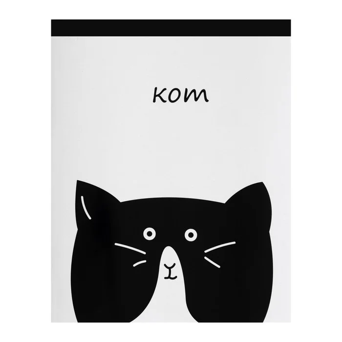 Общая тетрадь "Кот", 48 листов в линейку