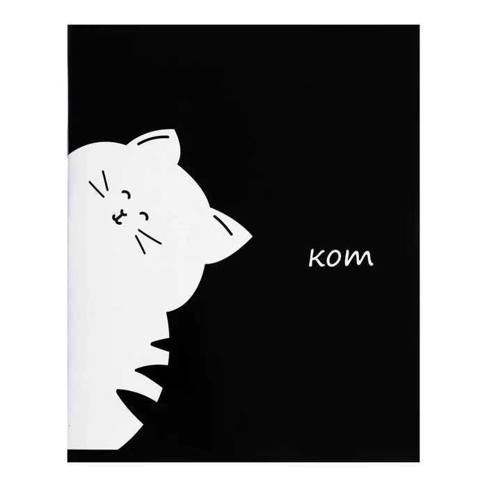 Общая тетрадь "Кот", 48 листов в линейку