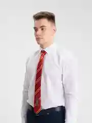 Красный галстук "Гарри Поттер", Хогвартс, Гриффиндор, Слизерин, Пуффендуй, Когтевран