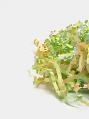 Лесной зеленый бумажный наполнитель