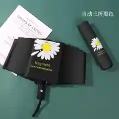 Тёмно-зелёный автоматический зонт с чехлом