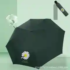 Автоматический зонт с чехлом