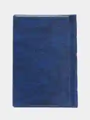 Синий альбом для монет, 120 ячеек