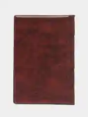 Бордовый альбом для монет, 120 ячеек