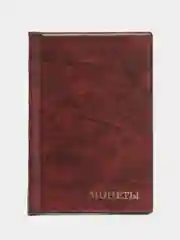 Бордовый альбом для монет, 120 ячеек