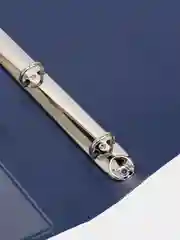 Папка BRAUBERG EXTRA, на 4 кольцах, синяя, ширина 25 мм, до 170 листов, 0,7 мм, 270483