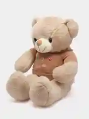 Мягкая игрушка "Медведь в кофте"