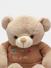 Мягкая игрушка "Медведь в кофте"