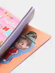 Книга с аппликациями, 2 вида