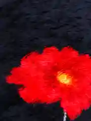 Темно-синий плед, разные расцветки, 200 х 180 см