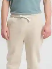 Мятный брюки утепленные, мужские