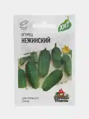 Семена Огурец "Нежинский", 0,5 г