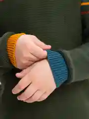 Зеленый джемпер для мальчика Bonito kids