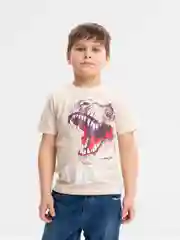 Футболка детская Semicvet