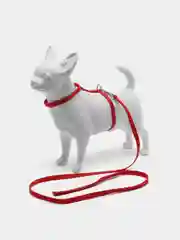 Красный шлейка с поводком для кошек