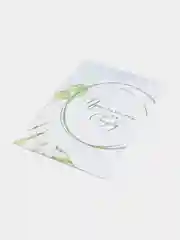 Мятный приглашение на свадьбу, 10 х 15 см, 10 штук