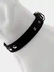 Серый ошейник для собак