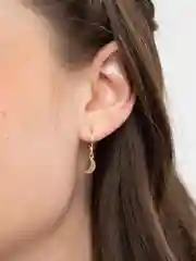 Золотой серьги на кольце Месяц