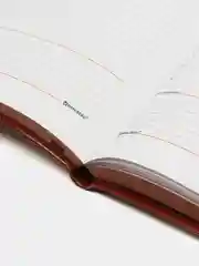 Ежедневник BRAUBERG Magnetic X коричневый, магнитный клапан, недатированный, под кожу, А5