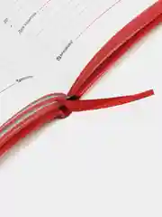 Ежедневник с магнитным клапаном BRAUBERG Magnetic X, недатированный, под кожу, А5, красный