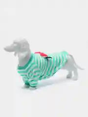 Бирюзовый свитер/кофта для собак