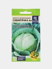 Семена Капуста белокочанная среднеспелая "Сибирячка 60", 0,5 г