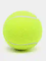 Желтый мячи для большого тенниса HEAD CHAMPIONSHIP 3B, ITF, в упаковке 3 штуки