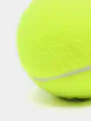 Желтый мячи для большого тенниса HEAD CHAMPIONSHIP 3B, ITF, в упаковке 3 штуки