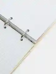 Тетрадь на кольцах BRAUBERG Miracle, А5, 240 листов, твердый картон, клетка
