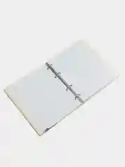 Тетрадь на кольцах BRAUBERG Miracle, А5, 240 листов, твердый картон, клетка