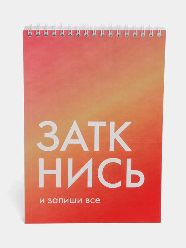Блокнот на пружине "Заткнись и запиши все", А5, 45 листов