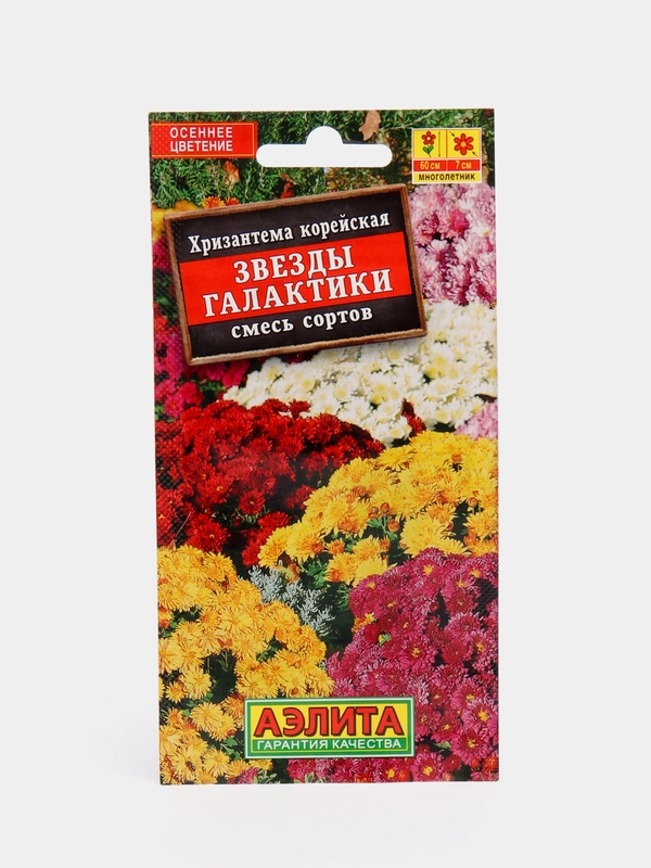 Семена цветы Хризантема "Звезды галактики"
