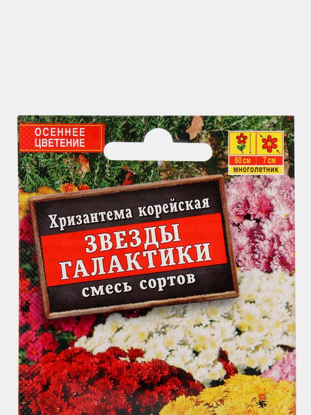 Семена цветы Хризантема "Звезды галактики"