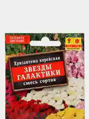 Семена цветы Хризантема "Звезды галактики"