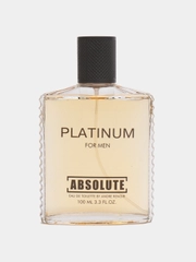 Туалетная вода мужская Absolute Platinum, 100 мл