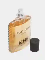Туалетная вода мужская Absolute Platinum, 100 мл