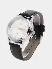 Серый мужские наручные часы Lige LG9846 c календарём, в подарочной упаковке