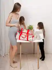 Сумка в роддом прозрачная, водонепроницаемая, 1 шт., красный