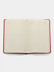 Ежедневник недатированный BRAUBERG Status, А5, под кожу, красный, 160 листов, 113364
